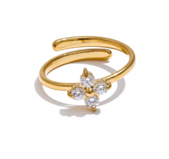 Carri Ring